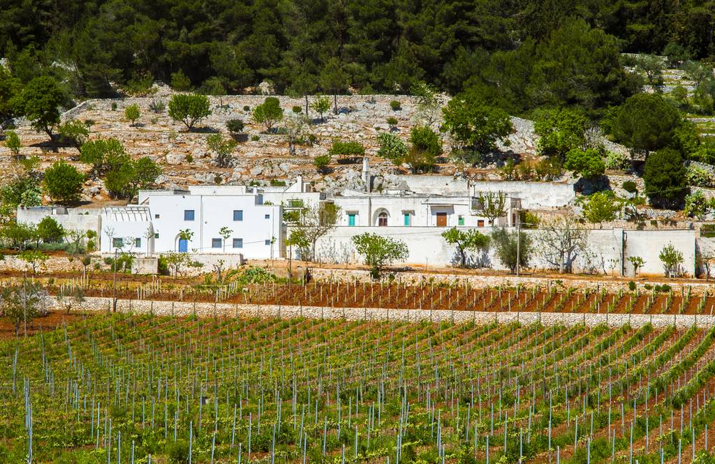 Strada del Vino del Salento