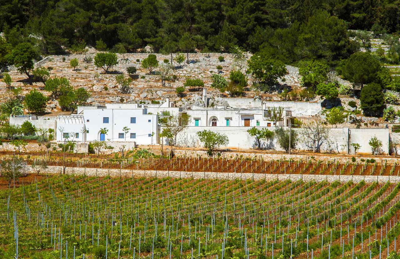 Strada del Vino del Salento