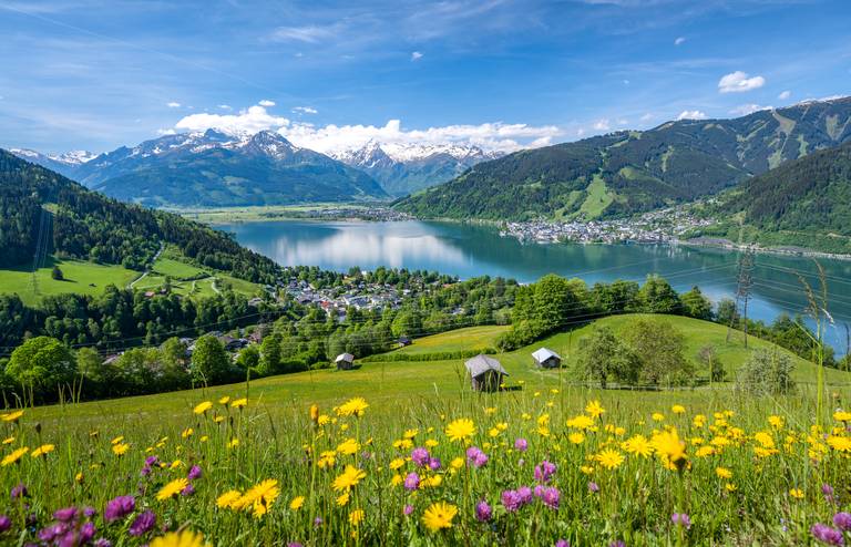 Zell am See im Sommer