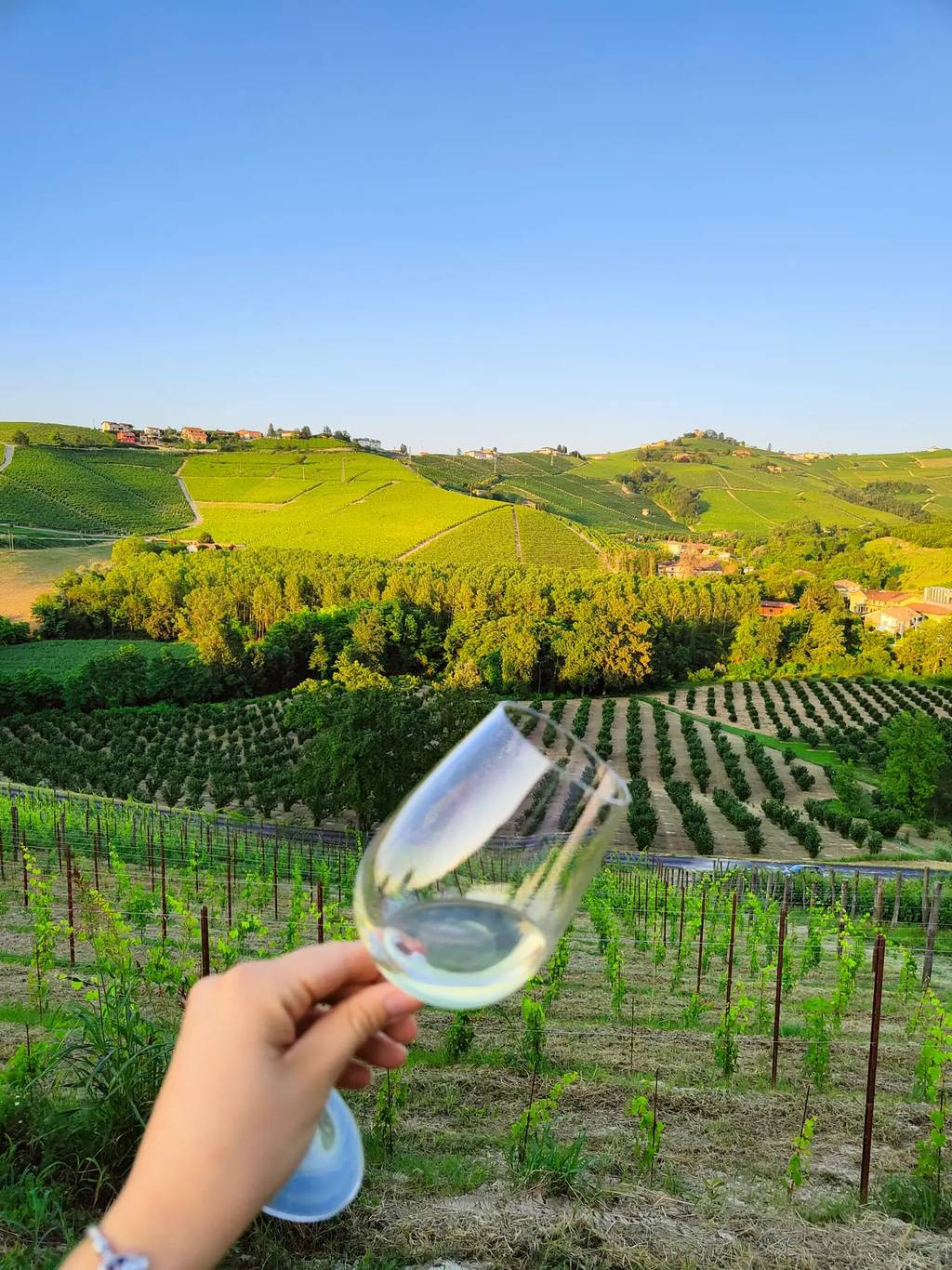 Cascina Bellonuovo Hand holding a wine glass against a scenic background of green vineyards and rolling hills under a clear blue sky.