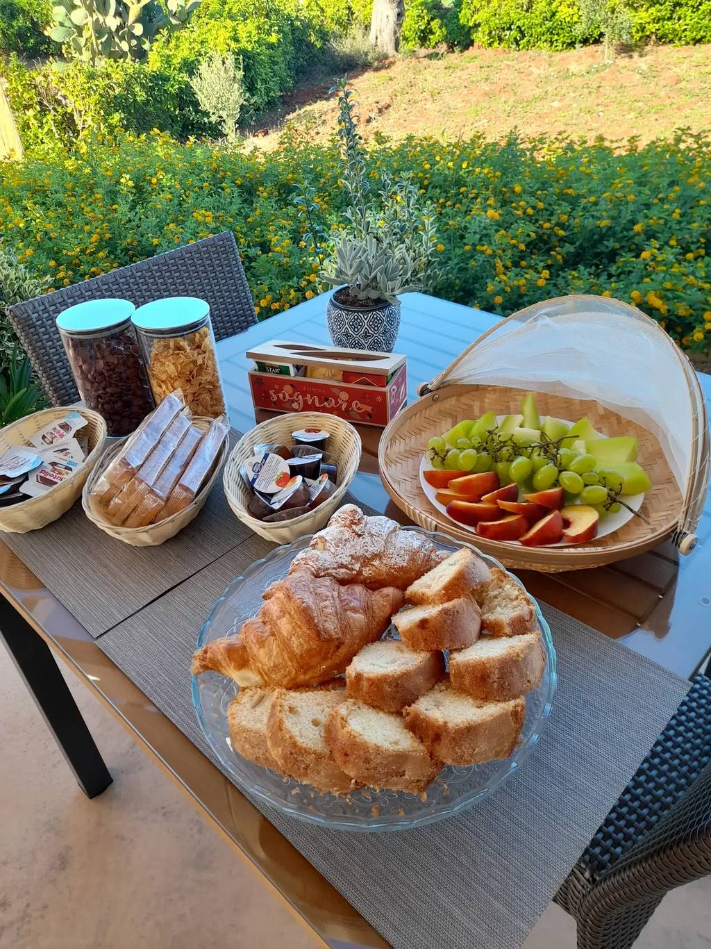 B&B Marrella