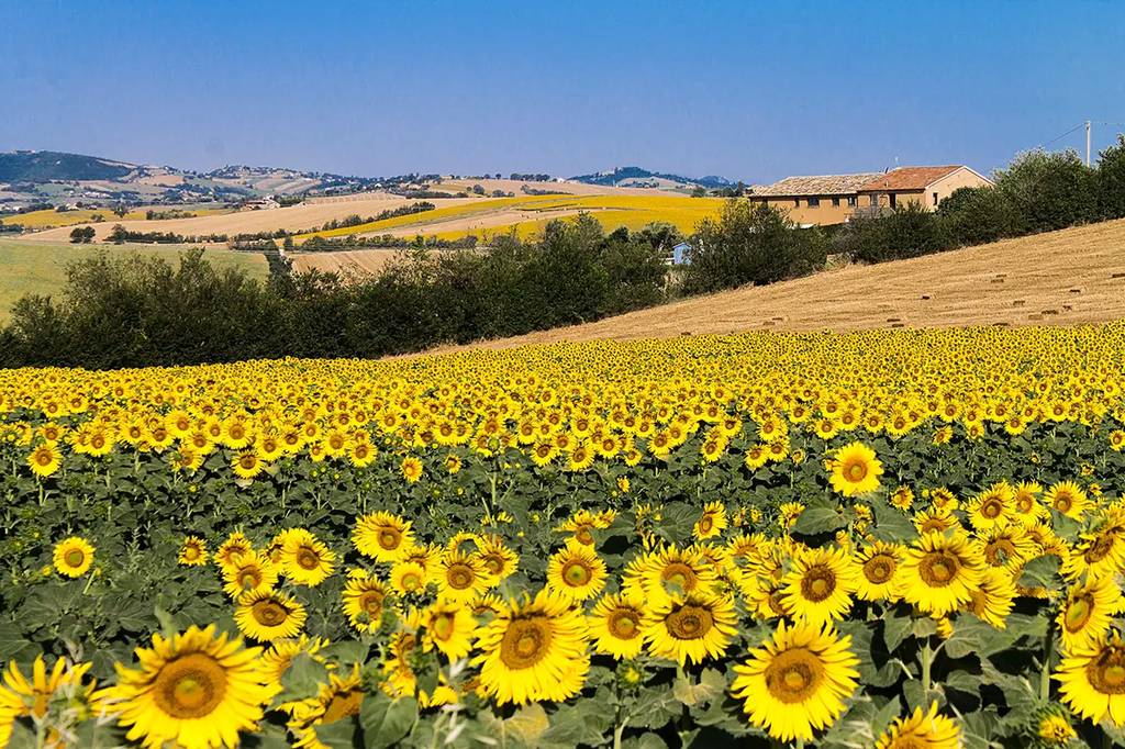 B&B sulle Colline Marchigiane