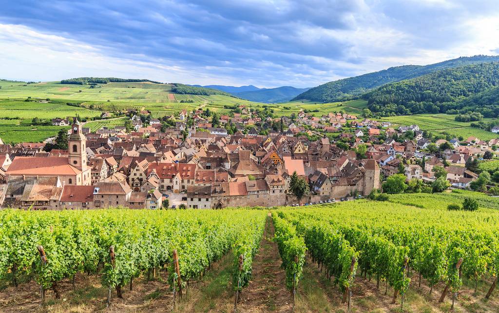alloggi a riquewihr per visitare la strada del vino dell'alsazia