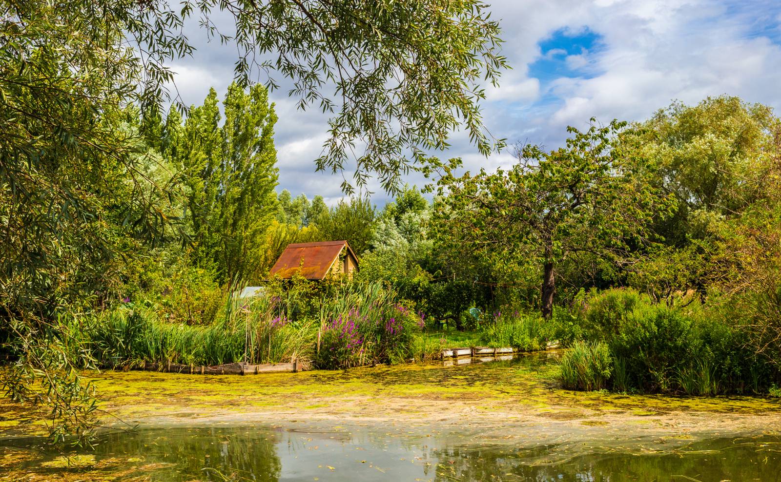 Les marais de Bourges