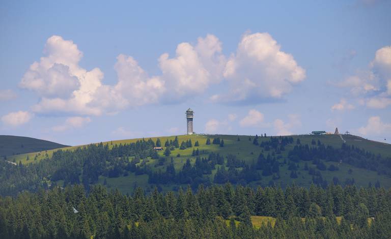 Ferienwohnung im Südschwarzwald