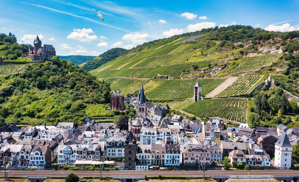 Luftaufnahme einer malerischen Stadt mit historischen Gebäuden, umgeben von grünen Weinbergen und Hügeln unter blauem Himmel