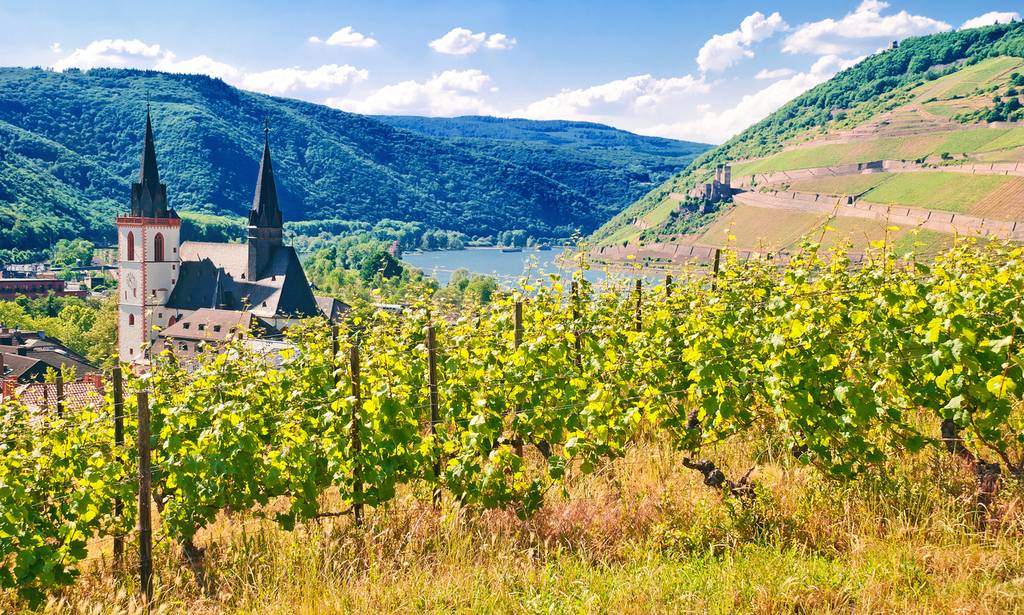 Sunlit vineyard rows overlooking a twin-spired church and a river winding through green, terraced hills.