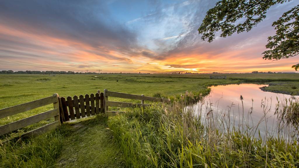Frisian lakes