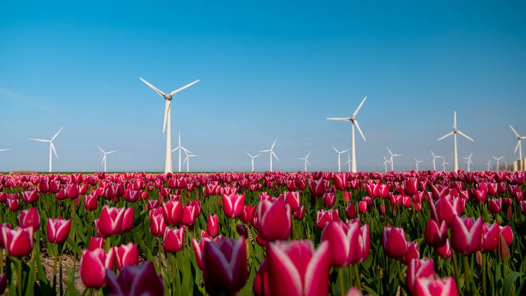 Flevoland