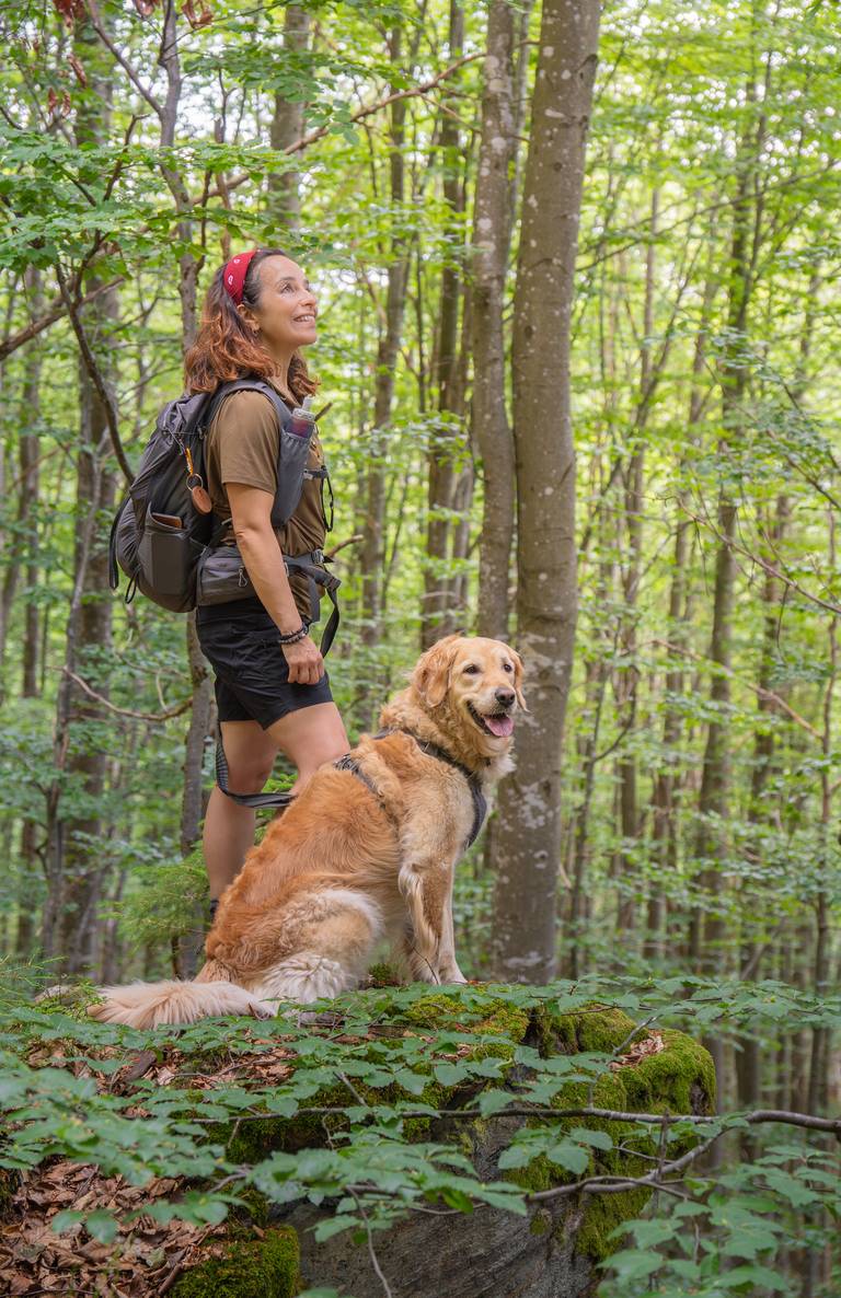 Vakantie met honden in het Beierse Woud