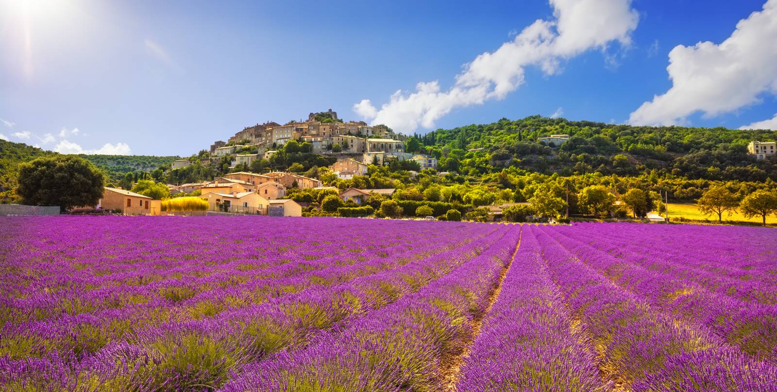 B&B France