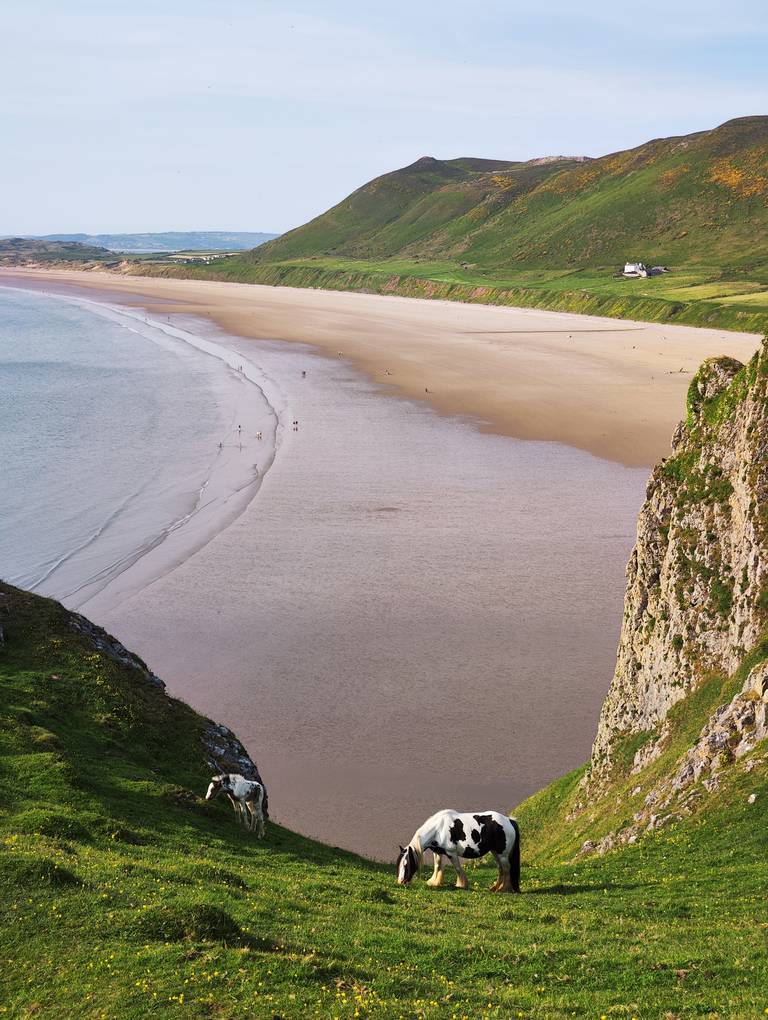 chevaux sur la Baie de Rhossilli - Pays de Galles