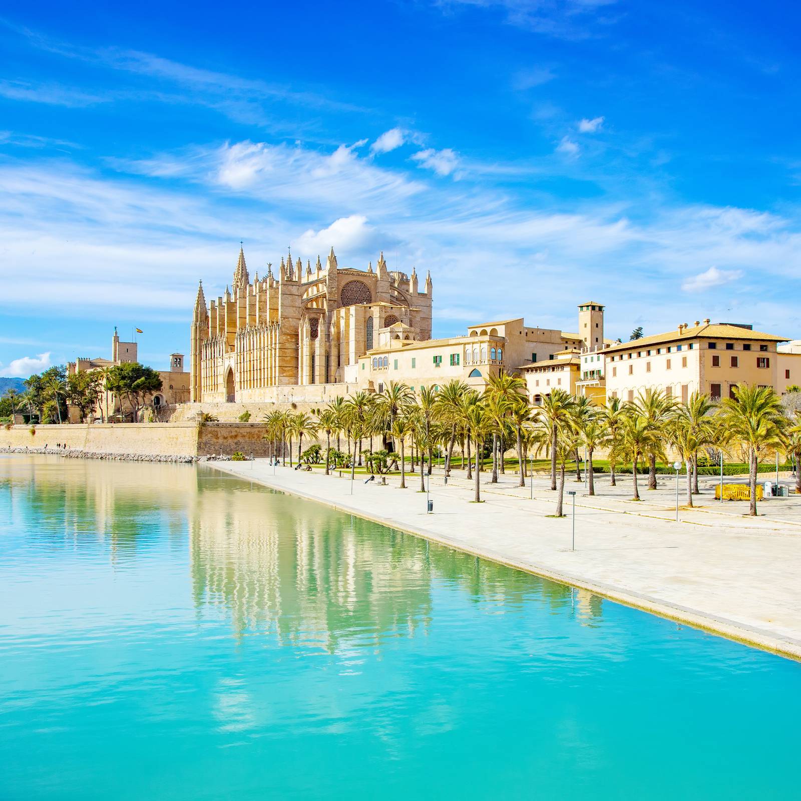 Kathedrale La Seu in Palma de Mallorca neben einer palmenbestandenen Promenade und einem türkis reflektierenden Hafen unter strahlend blauem Himmel.