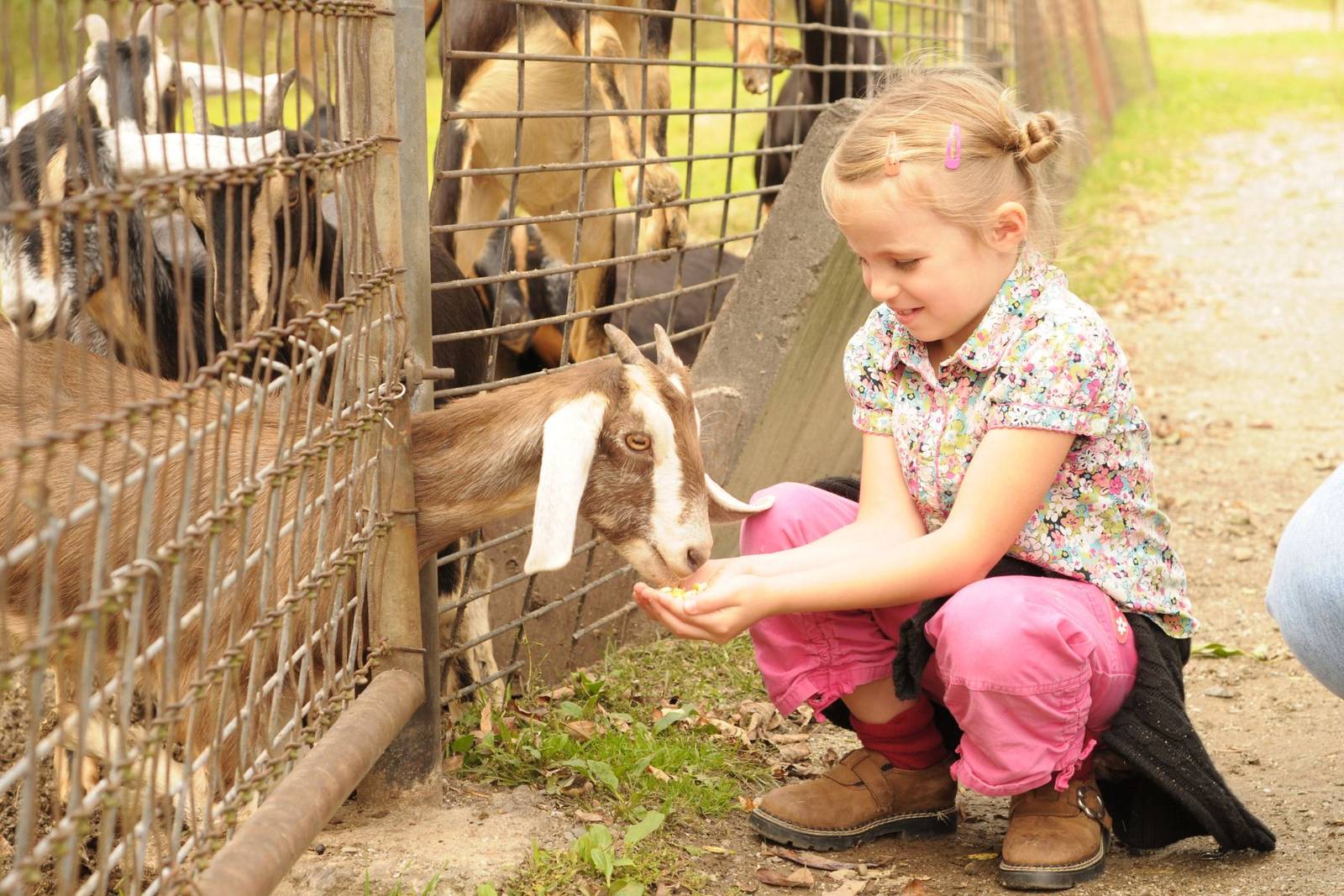 Best areas for families visiting Chester