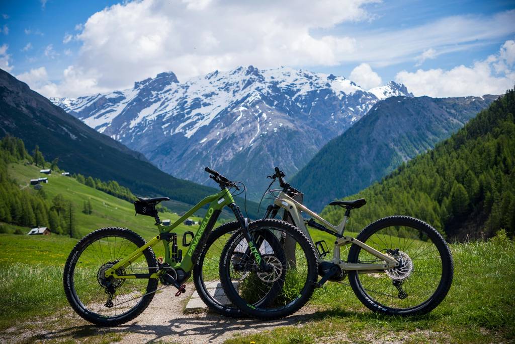 mountain bike con vette alpine