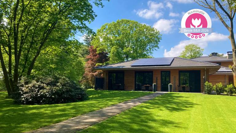 Houten pand in bosrijke omgeving in Noord-Brabant