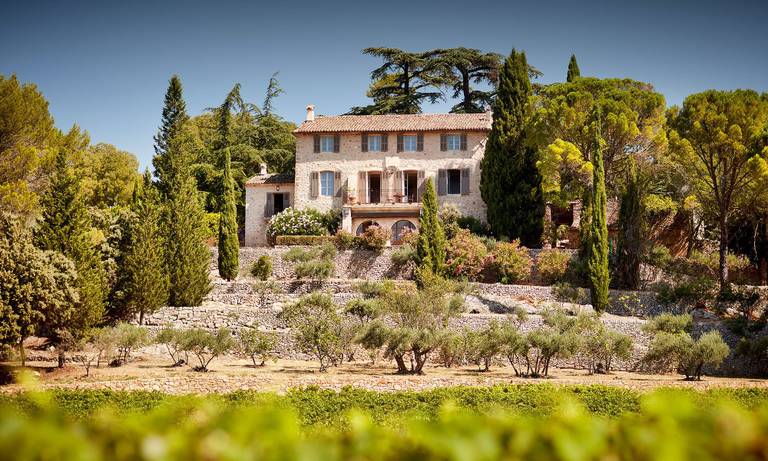 Chambre d'hôtes in Provence surrounded by olive trees and cypress trees