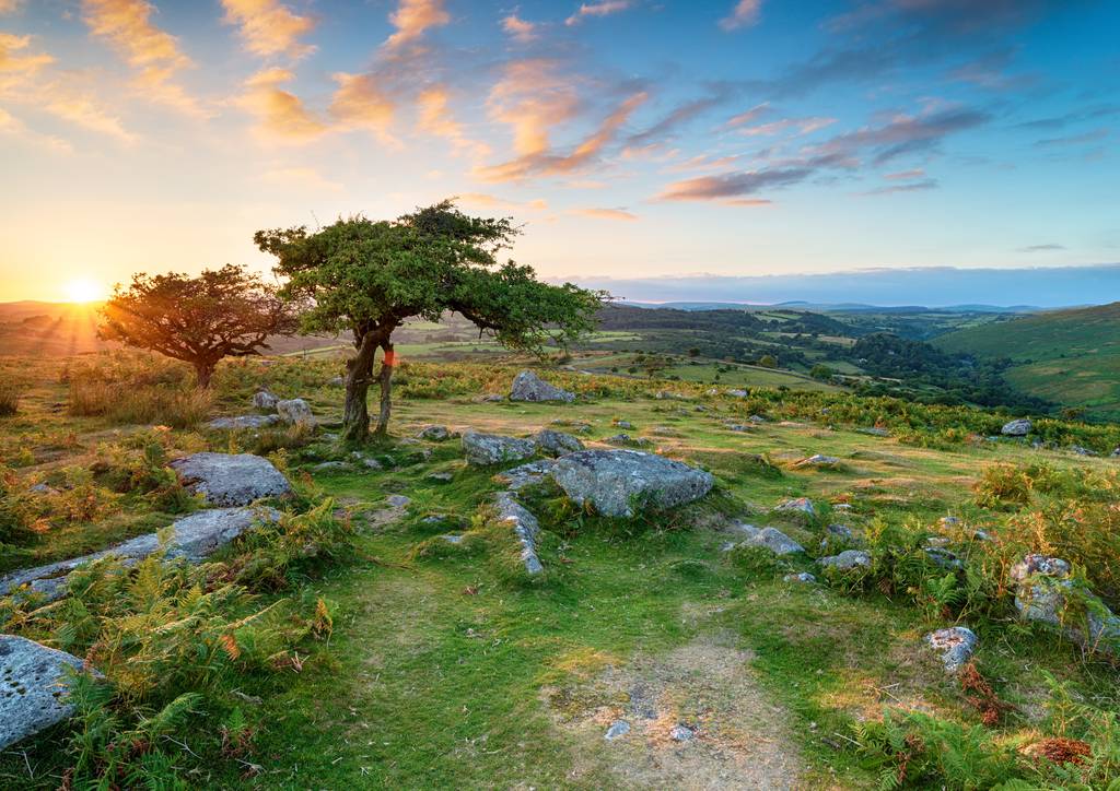 Dartmoor National Park plymouth