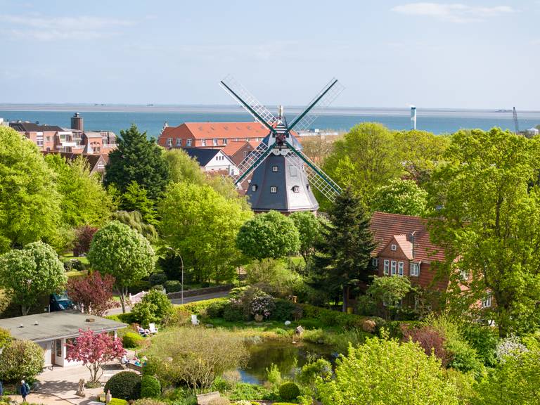 Luftaufnahme eines üppigen Gartens mit einer Windmühle, umgeben von Bäumen und Häusern, mit Blick auf ein blaues Meer unter klarem Himmel.