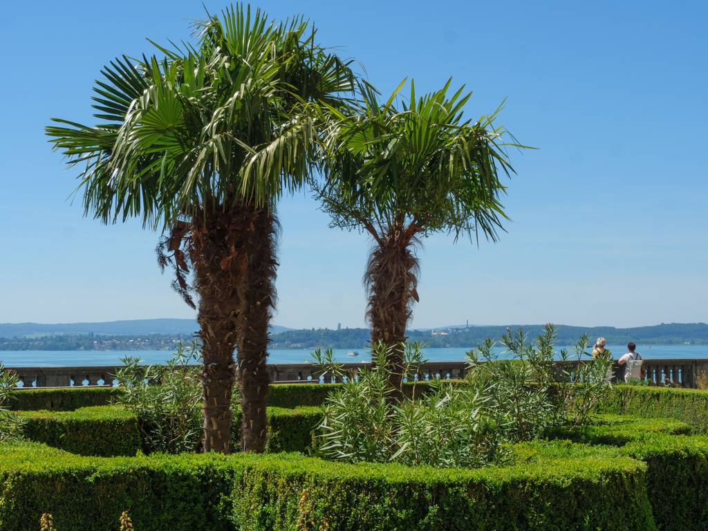 Palmen in einem gepflegten Garten mit Blick auf einen ruhigen, blauen See und ferne Hügel unter klarem, blauem Himmel
