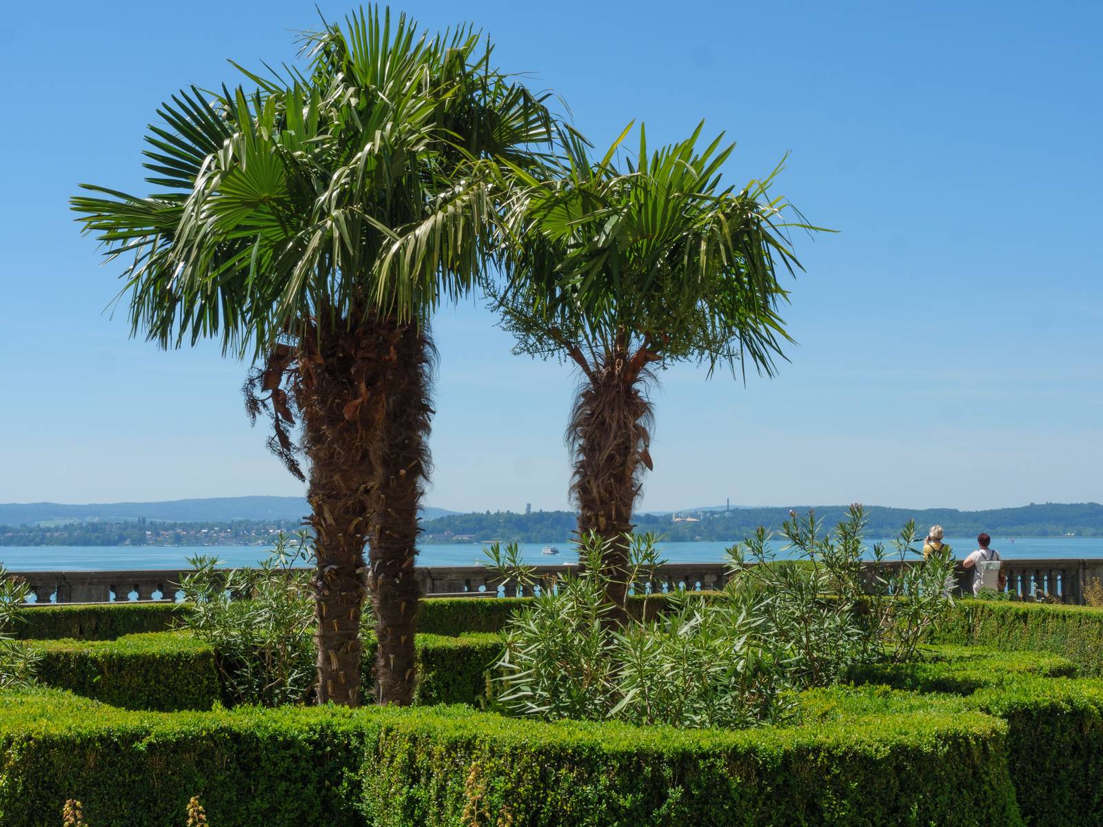 Palmen in einem gepflegten Garten mit Blick auf einen ruhigen, blauen See und ferne Hügel unter klarem, blauem Himmel