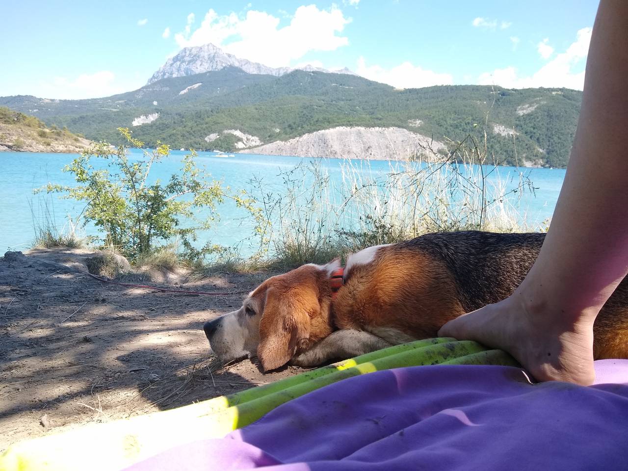 Lac de Serre-Ponçon Hautes-Alpes