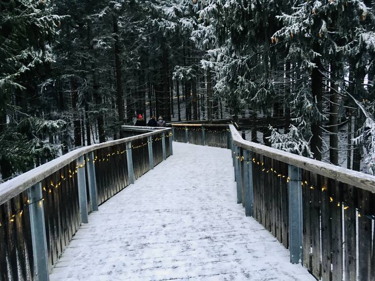 Schneebedeckter Holzsteg mit funkelnden Lichterketten, der sich in einen dichten, schneegestäubten Nadelwald windet; zwei Personen sind voraus sichtbar.