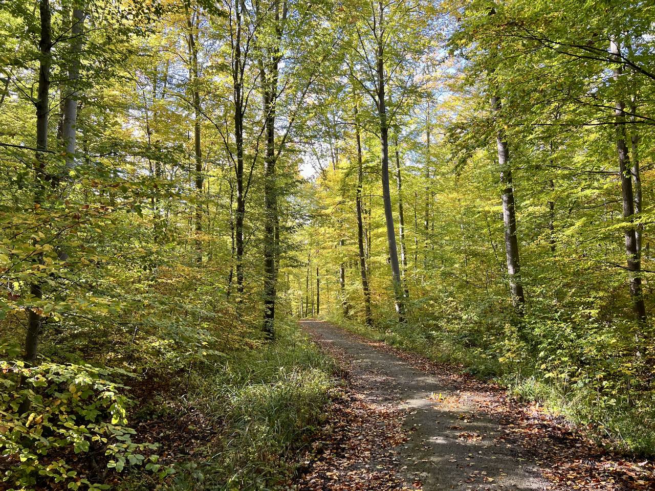 Spaziergänge in der Echaz-Aue