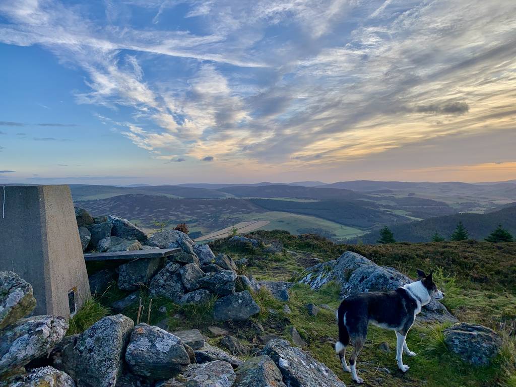 uk-cairngorms-national-park with pets