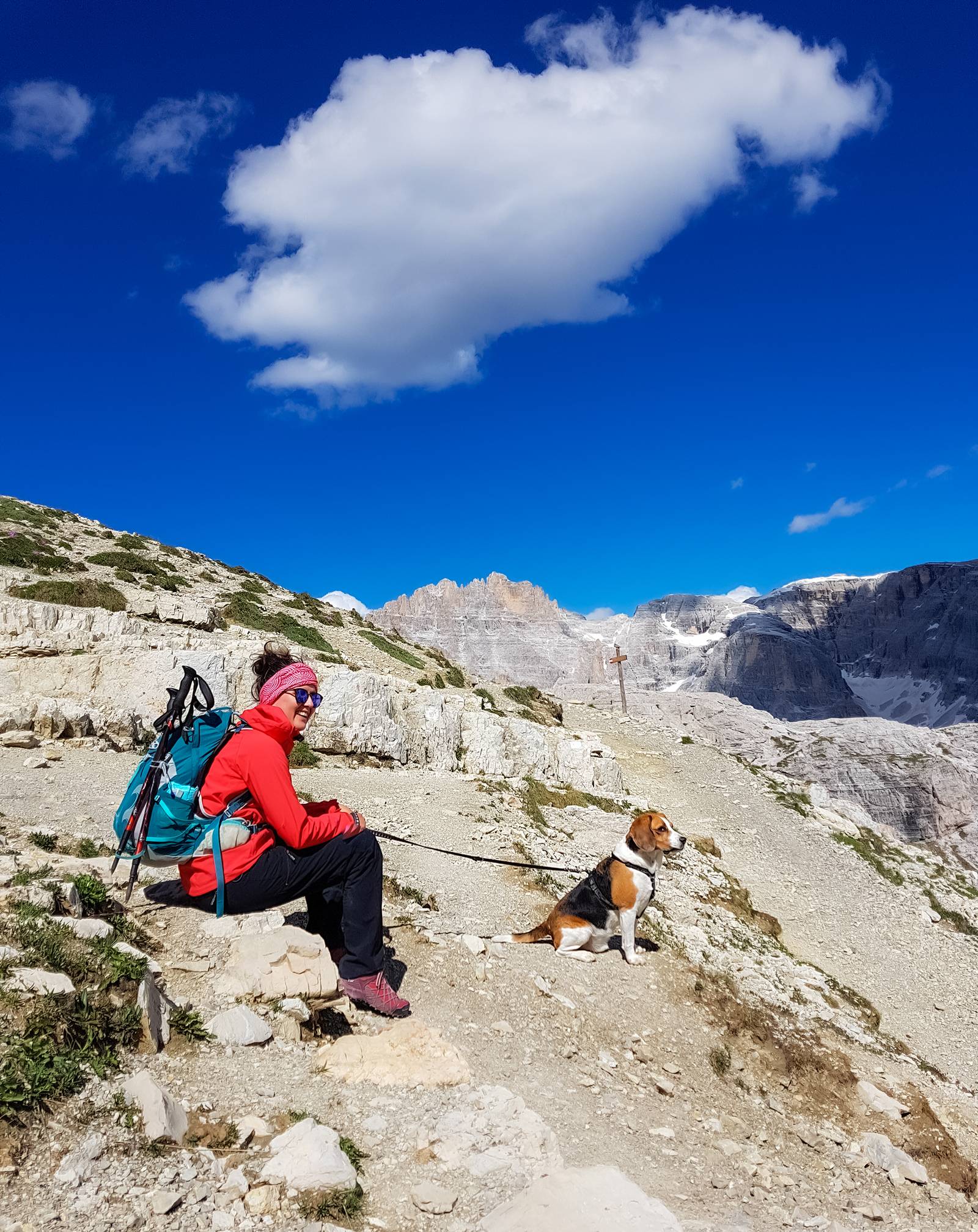 trekking con il cane