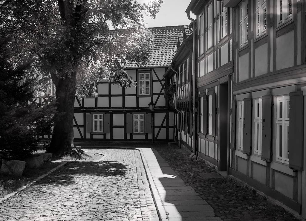 Schwarz-weiß-Foto einer Kopfsteinpflasterstraße, gesäumt von traditionellen Fachwerkhäusern und einem großen Baum, der Schatten wirft