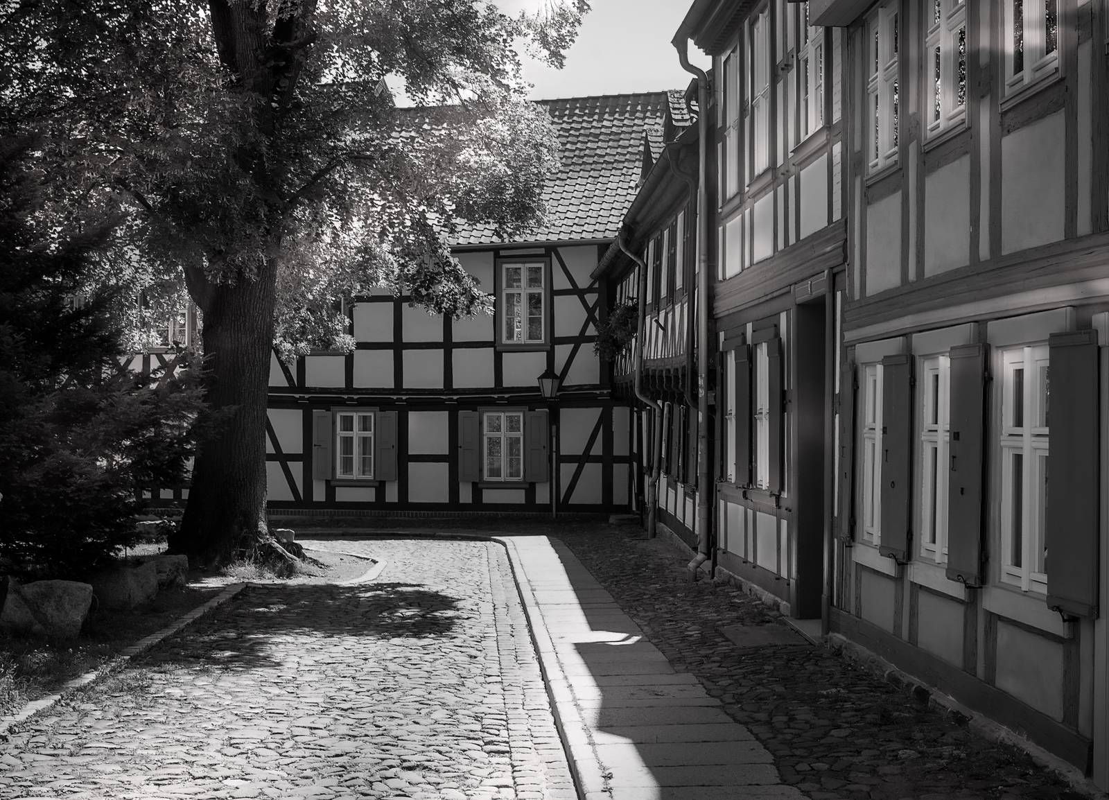 Schwarz-weiß-Foto einer Kopfsteinpflasterstraße, gesäumt von traditionellen Fachwerkhäusern und einem großen Baum, der Schatten wirft