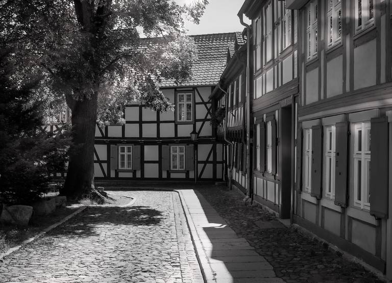 Schwarz-weiß-Foto einer Kopfsteinpflasterstraße, gesäumt von traditionellen Fachwerkhäusern und einem großen Baum, der Schatten wirft