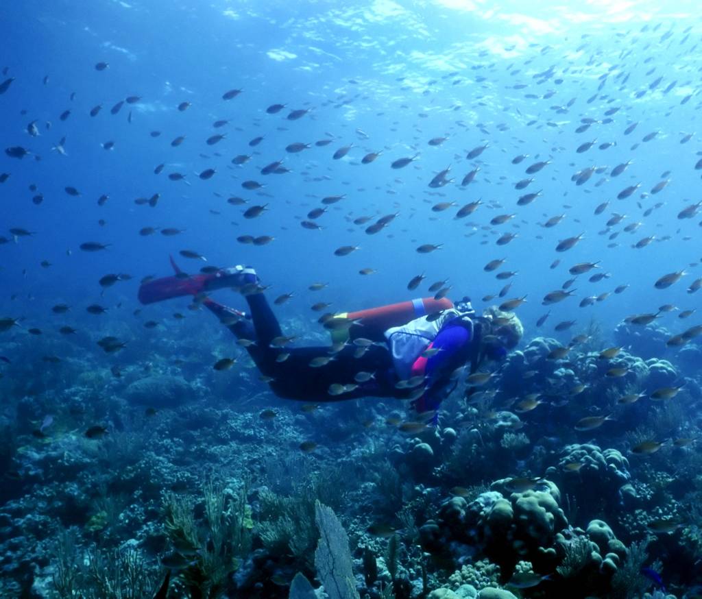 Ein Taucher schwimmt durch ein farbenfrohes Korallenriff, umgeben von einem dichten Schwarm kleiner Fische im klaren blauen Wasser.