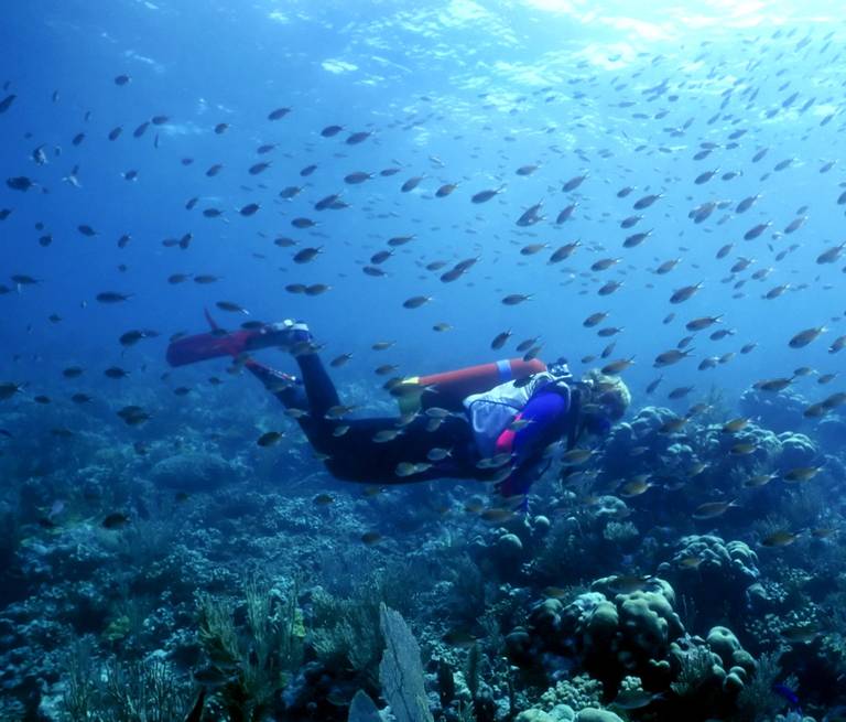 immersioni in sardegna - arcipelago della Maddalena