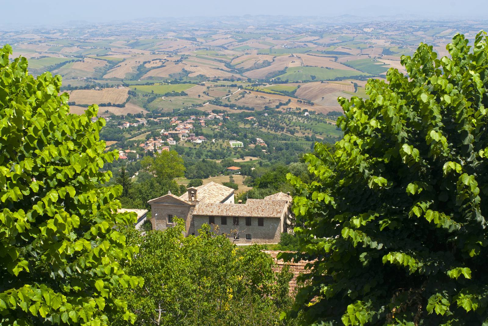 Cingoli