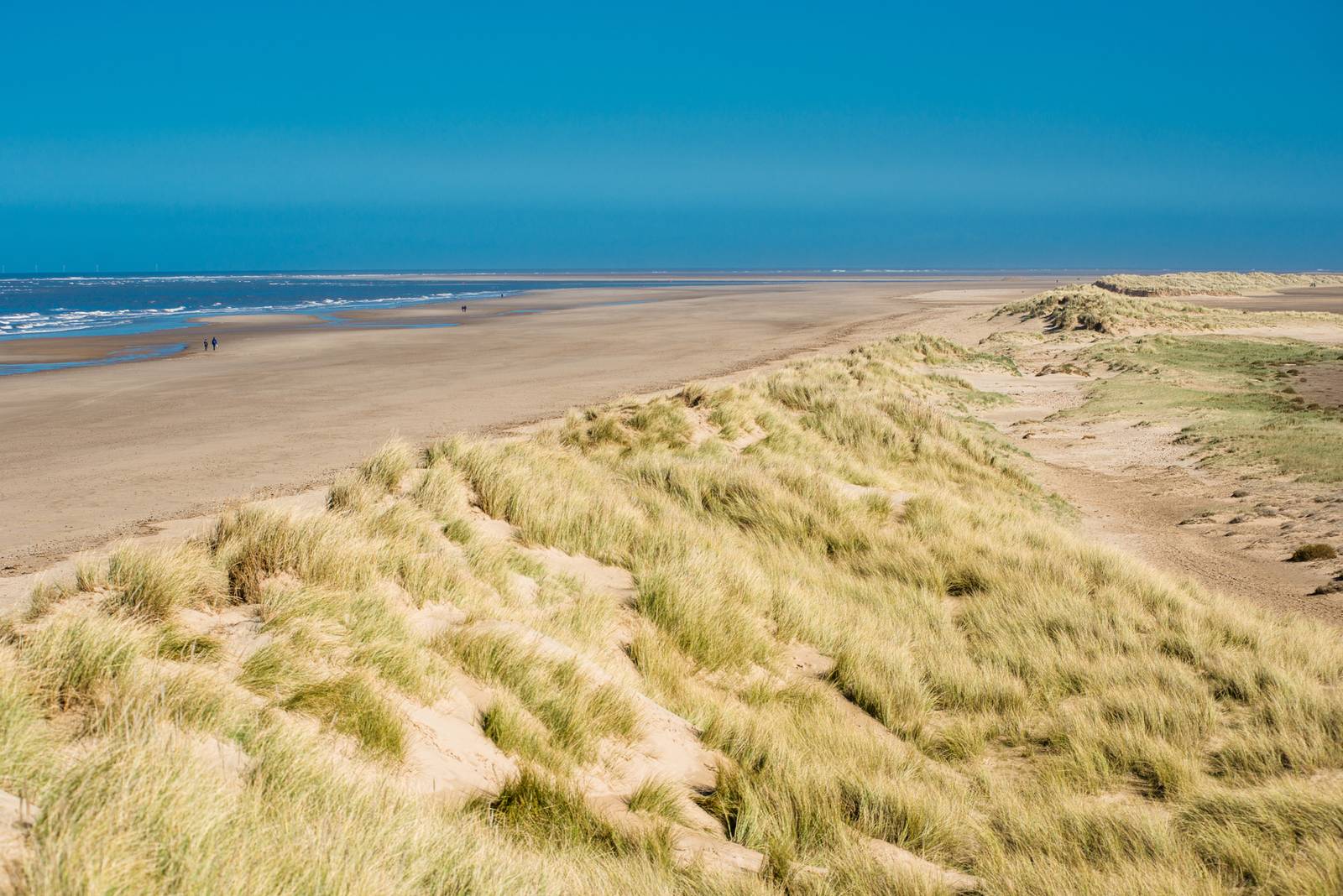 Sandy beach with grassy dunes under a clear blue sky, stretching into the distance with a few people walking along the shore.