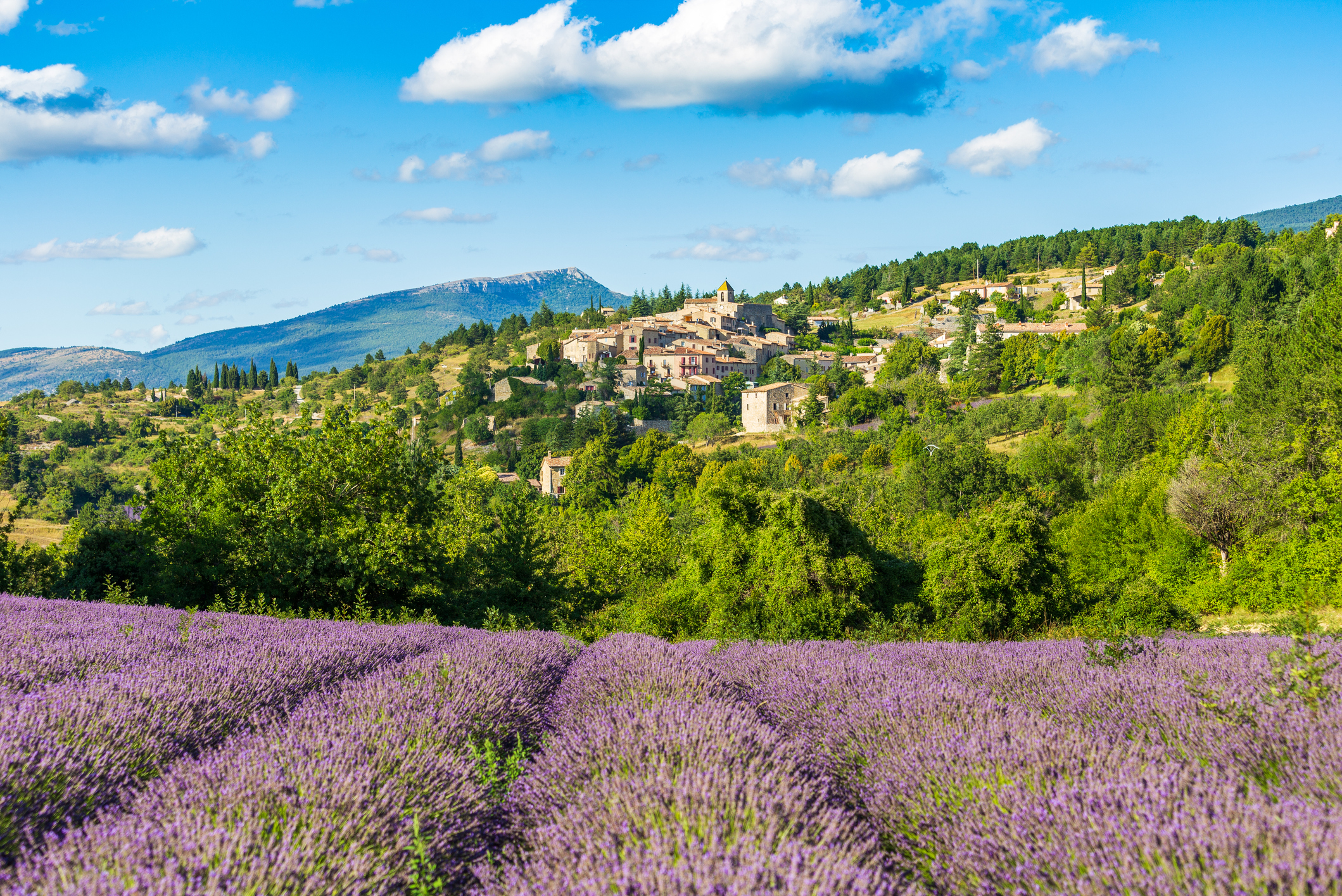villaggio in provenza circondato da campi di lavanda in fiore