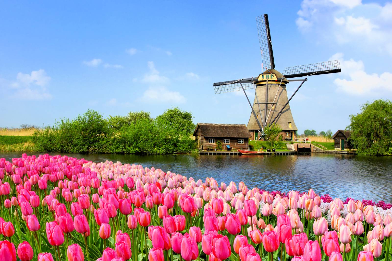 B&B Netherlands