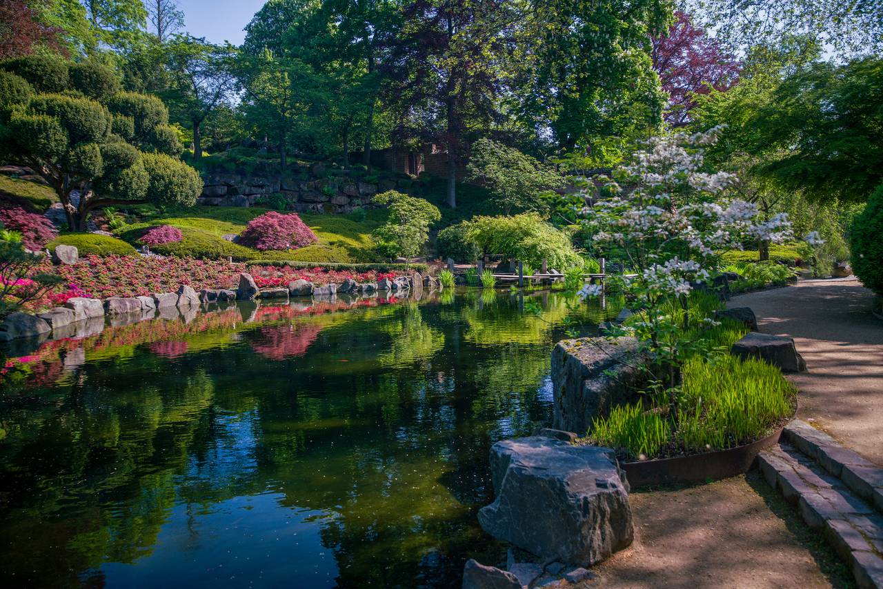 Eine ruhige Gartenszene mit einem Teich, der üppiges Grün, bunte Blumen und einen Steinweg unter klarem blauen Himmel widerspiegelt