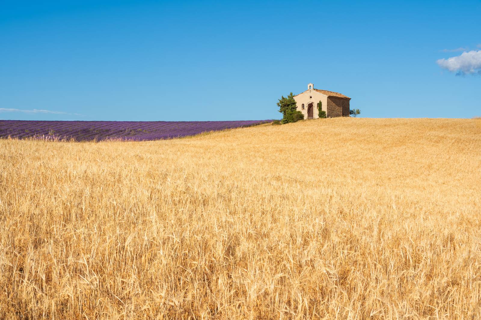 Pianifica le tue vacanze estive 2026 e inizia a sognare