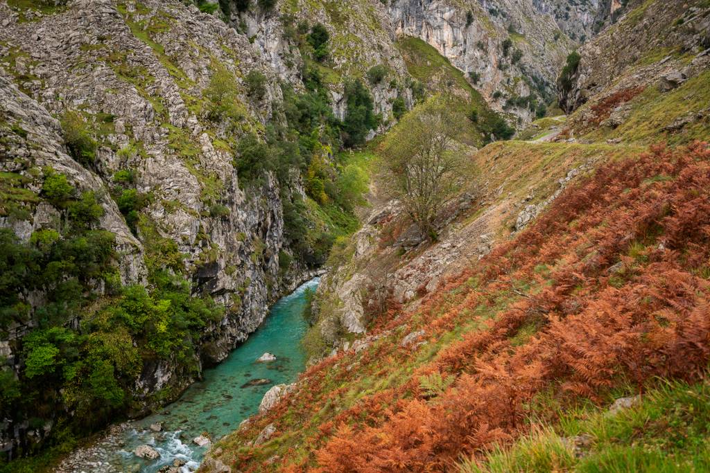 Ruta del Cares