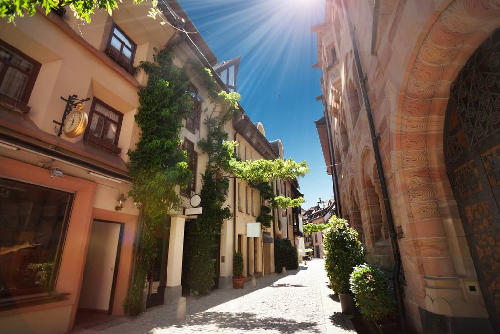 Sunlit cobblestone alley in Freiburg, lined with ivy-draped buildings, shops, potted plants and a stone archway under a bright blue sky.