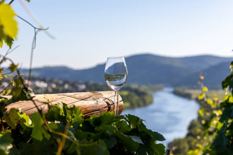 Weinverkostung und Kulinarik