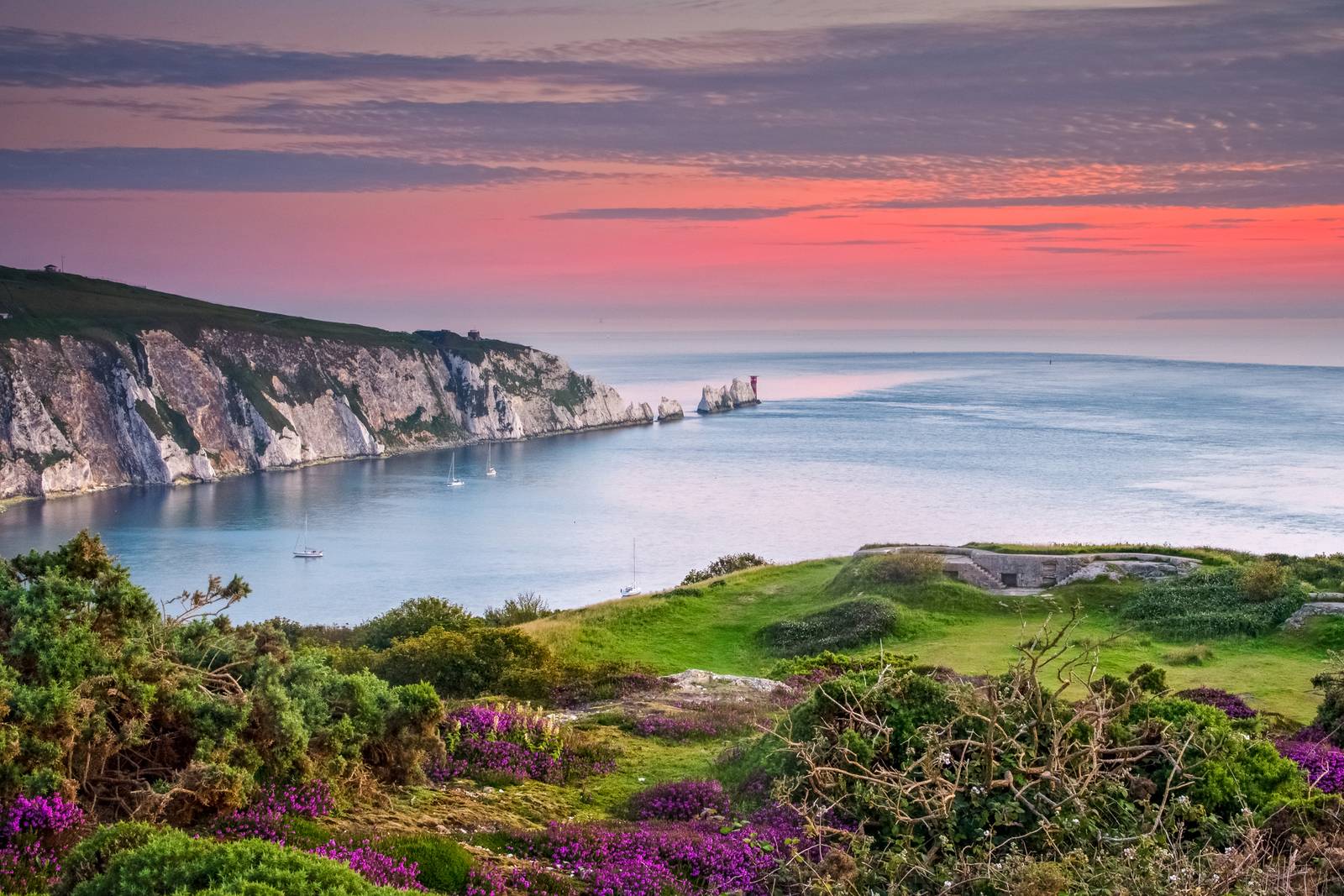 Scenic coastal view at sunset with cliffs, calm sea, and vibrant purple flowers in the foreground.