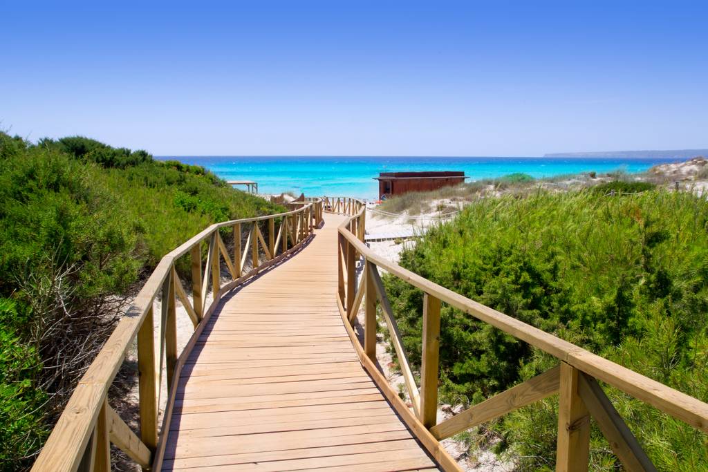 "Passerella in legno che attraversa una vegetazione lussureggiante fino a una spiaggia dall'acqua turchese sotto un cielo azzurro limpido.