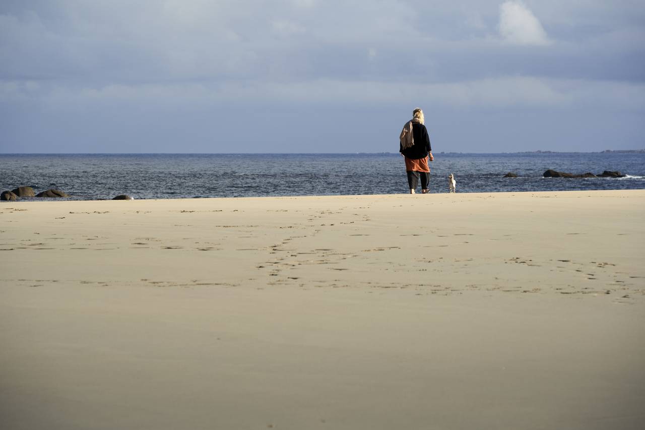 Le Golfe du Morbihan avec votre chien