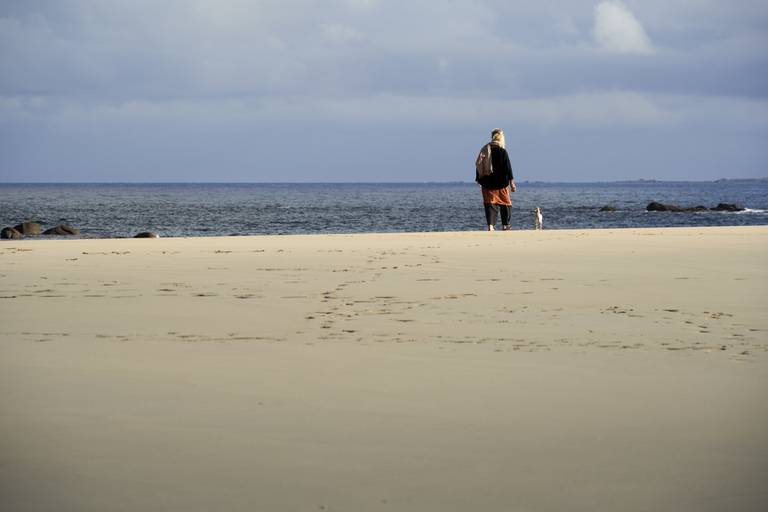 Le Golfe du Morbihan avec votre chien