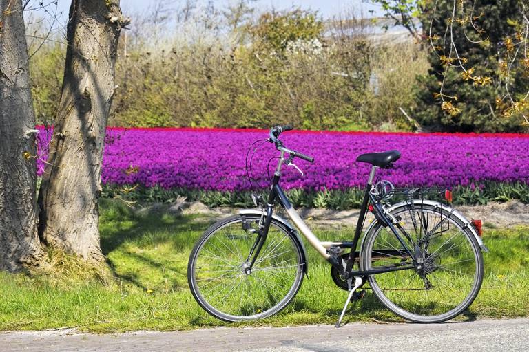 Giro in bici tra i campi di Lisse