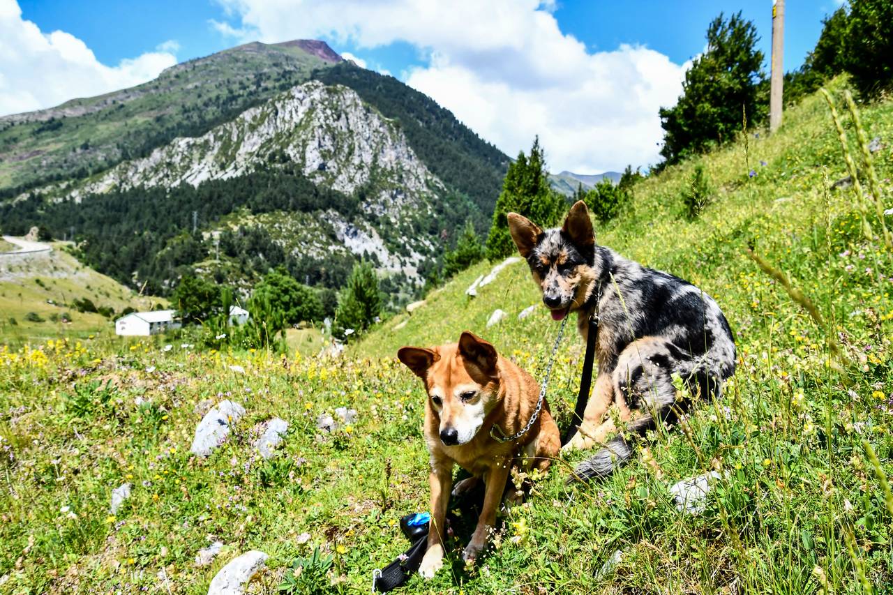 Le massif des Pyrénées